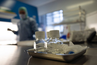 Projet PHAGEinLYON – Contre la résistance aux  antibiotiques : des virus mangeurs de bactéries…
