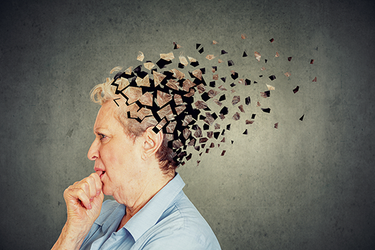 Projet « Jeune Chercheur » AlFraiD - Maladie d’Alzheimer : et si le cerveau n’était pas le seul responsable ?